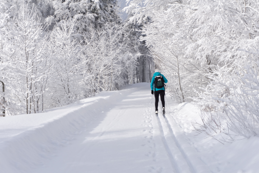 Cross Country Skiing