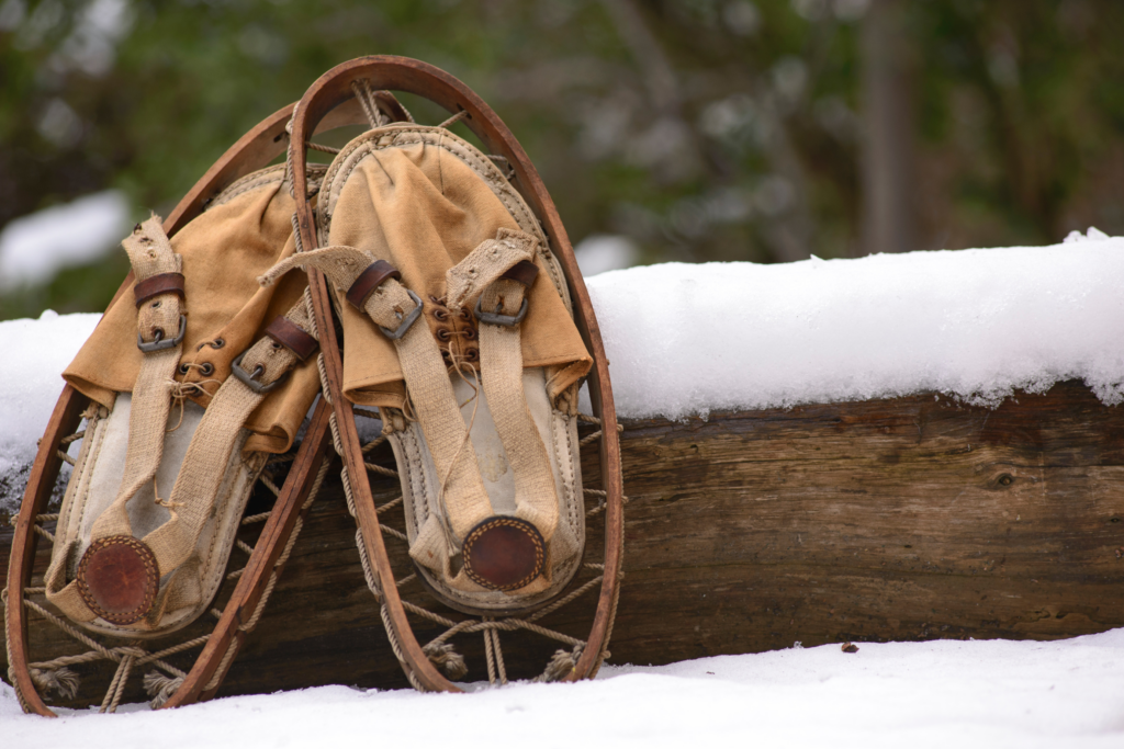 Snow Shoeing
